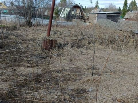 Продажа Дач дом Березка