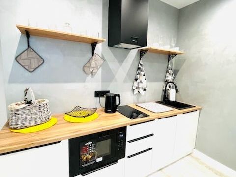 Аренда 1-Кв студ Морозова 207